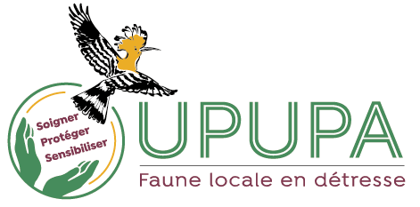 Logo FondVert